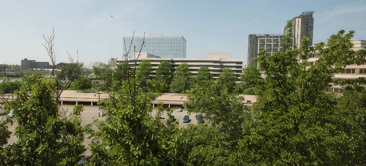 麦克莱恩泰森斯科纳希尔顿酒店(Hilton McLean Tysons Corner)图片