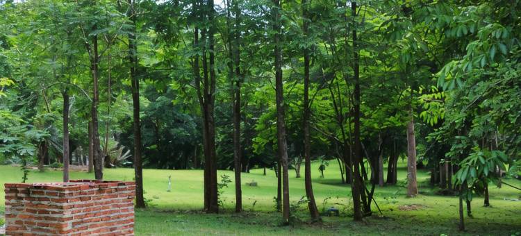 班马卡自然旅馆(Baan Maka Nature Lodge)图片