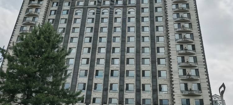 集安长城公馆雷Sir民宿(大吉他广场店)图片