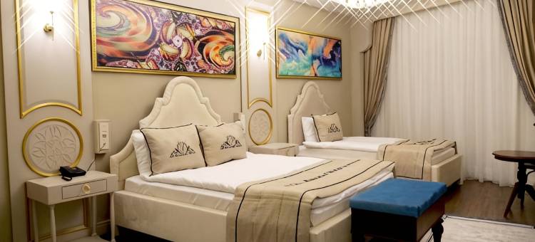 阿米达迪亚巴克尔精品酒店(Amida Boutique Otel)图片