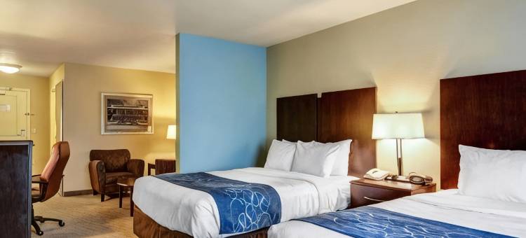 温泉城舒适套房酒店(Comfort Suites Near Hot Springs Park)图片