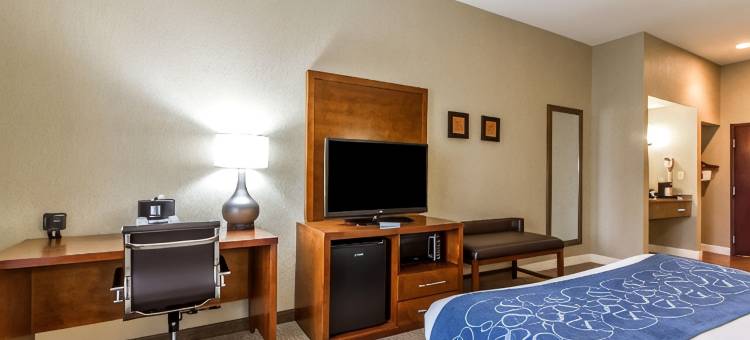 马图恩东部舒适套房酒店(Comfort Suites Mattoon East)图片