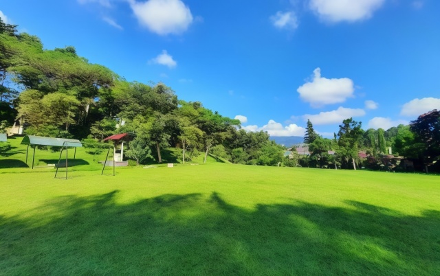 Palace HotelOver view