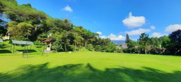 高峰皇宫酒店(Palace Hotel)图片