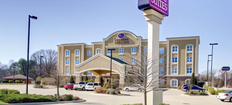 维克斯堡舒适套房酒店(Comfort Suites)图片