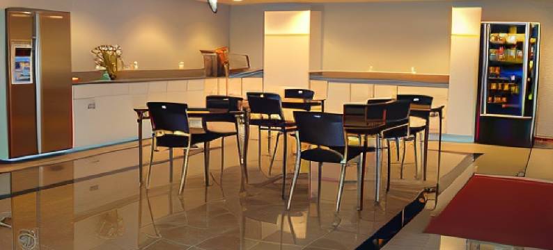 奥黑尔套房酒店(O'Hare Inn & Suites)图片