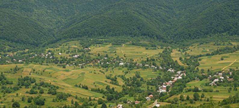 泰利默克招待所(Teremok Guest House)图片