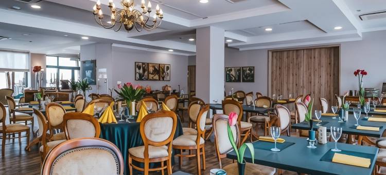 帕里斯艺术与商务酒店(Hotel Paryski Art & Business Zakopane - Basen Jacuzzi Sauna Małpi Gaj)图片