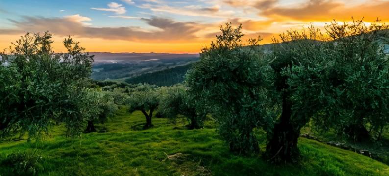 格雷多斯阁楼公寓(Gredos Loft)图片