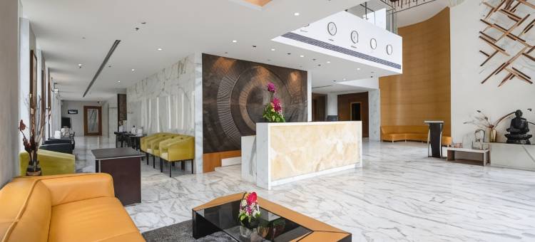 巴吉尼艾康优质酒店(Bhagini Icon Premier Hotel)图片