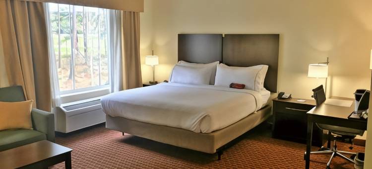 德富尼亚克斯普林斯智选假日酒店(Holiday Inn Express Defuniak Springs)图片