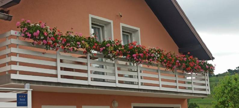 霍达科布拉森卡旅馆(Guesthouse Blazenka Hodak)图片