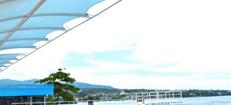 玛纳朵雄狮酒店(Lion Hotel & Plaza)图片