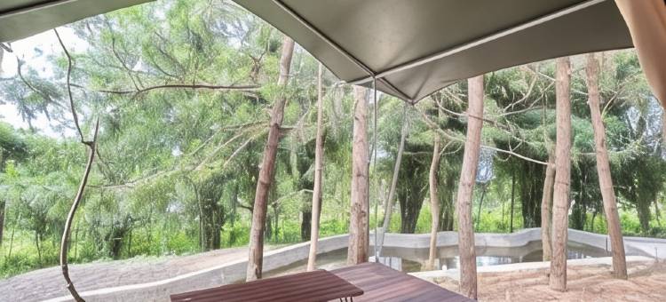 Banyu Pinus Camper Park图片