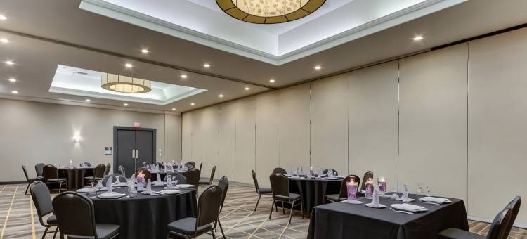 斯汤顿假日酒店及会议中心(Holiday Inn Staunton Conference Center)图片