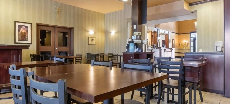 舒适套房酒店(Comfort Inn & Suites)图片