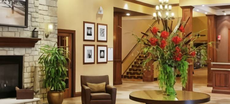 辛辛那提机场希尔顿逸林酒店(DoubleTree by Hilton Hotel Cincinnati Airport)图片