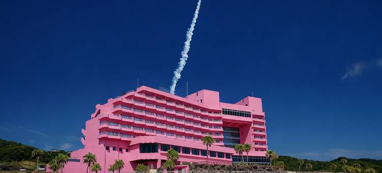 种子岛岩崎酒店(Tanegashima Iwasaki Hotel)图片