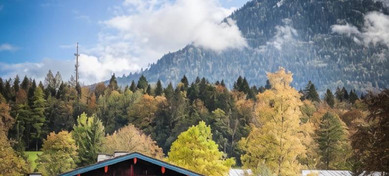 阿尔皮纳斯托勒酒店(Stoll's Hotel Alpina)图片