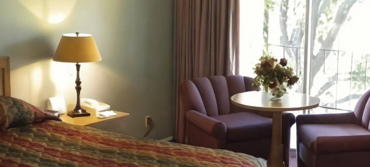 灯升客栈(Lamp Liter Inn)图片