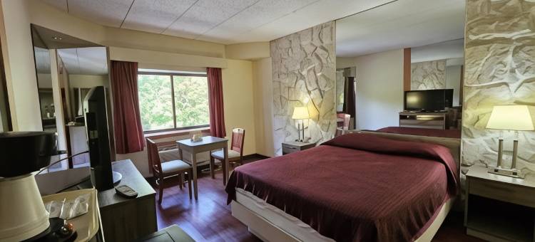 海市蜃楼汽车旅馆(La Mirage Motor Inn)图片