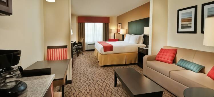 皮索尔洲际智选假日套房酒店(Holiday Inn Express & Suites PEARSALL by IHG)图片