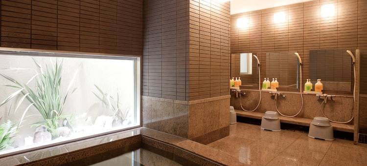 ＡＢ三河安城酒店 新館(AB Hotel Mikawa-Anjo Honkan New Building)图片