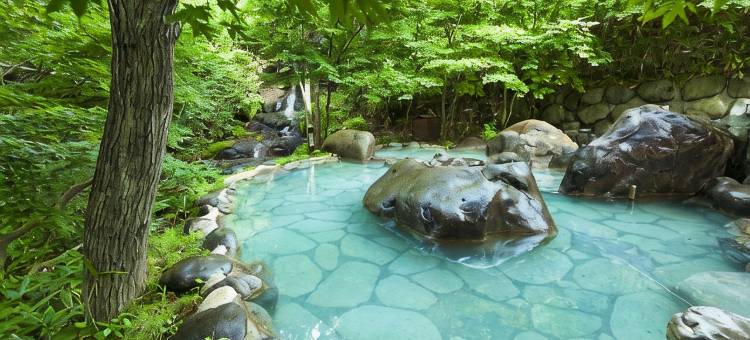 星野集团  奥入濑溪流酒店(Hoshino Resorts Oirase Keiryu Hotel)图片
