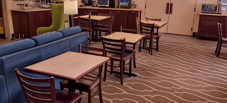 舒适套房酒店(Comfort Inn & Suites)图片