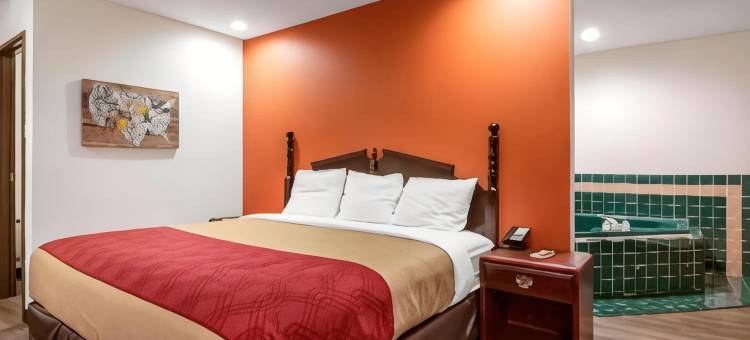 伊可洛吉酒店(Econo Lodge)图片