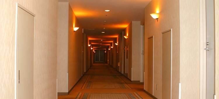 燕三条华盛顿酒店(Tsubamesanjo Washington Hotel)图片