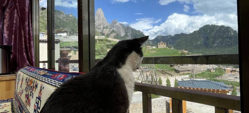 扎尕那如意山景民宿图片