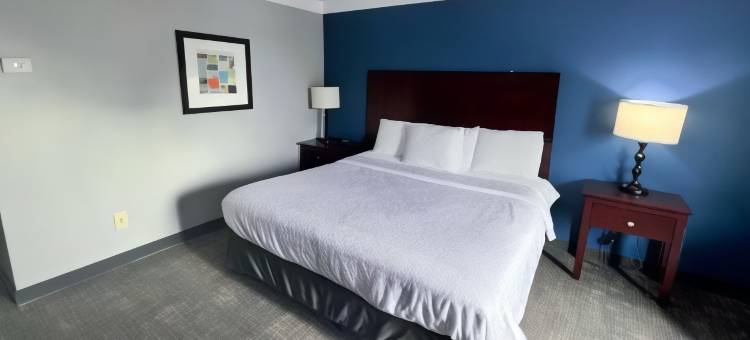 格伦艾伦贝斯特韦斯特优质酒店(Best Western Plus Glen Allen Inn)图片