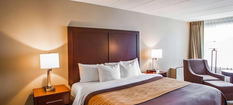 芝加哥奥兰帕克凯艺套房酒店(Quality Inn & Suites Orland Park - Chicago)图片