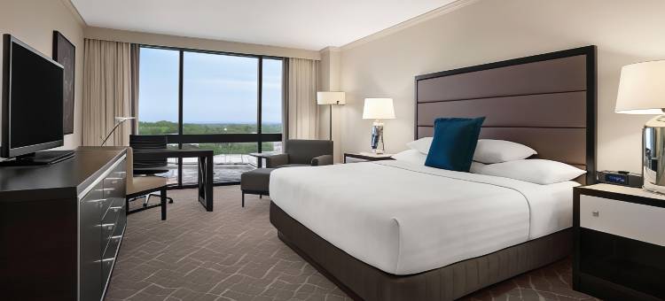 伯明翰凯悦酒店 - 温佛瑞酒店(Hyatt Regency Birmingham the Wynfrey Hotel)图片