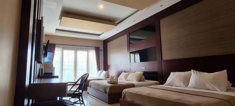 迪比尔兹酒店(D'Bilz Hotel)图片