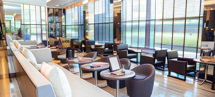 金奈沙米耶尔路诺富特酒店(Novotel Chennai Chamiers Road)图片