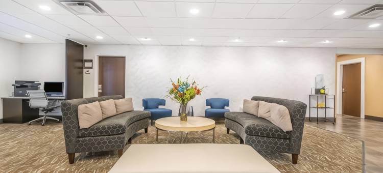 舒适套房酒店(Comfort Inn & Suites)图片