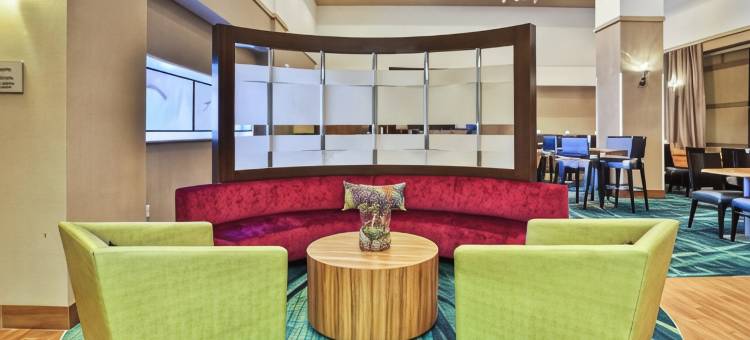 芝加哥埃尔姆赫斯特／橡树溪地区万豪SpringHill酒店(SpringHill Suites Chicago Elmhurst/Oakbrook Area)图片