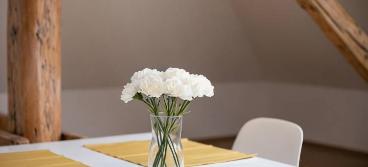 皮特洛恩公寓利贝雷茨酒店(Pytloun Apartments Liberec)图片