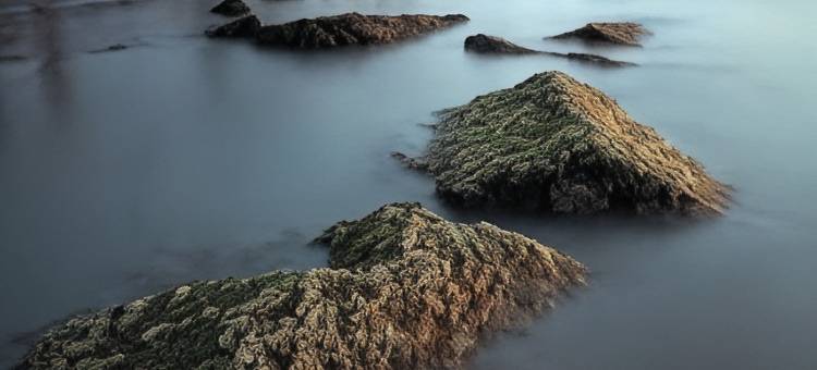 RedDoorz @ Nena's Hotel Dagupan City图片