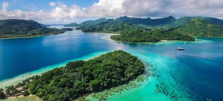 自然歌岛民宿(B & Bee Wild Island - Nature Song)图片