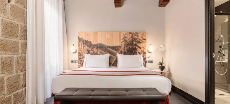 鲁阿维亚堡欧洲之星酒店(Eurostars Fuerte Ruavieja)图片