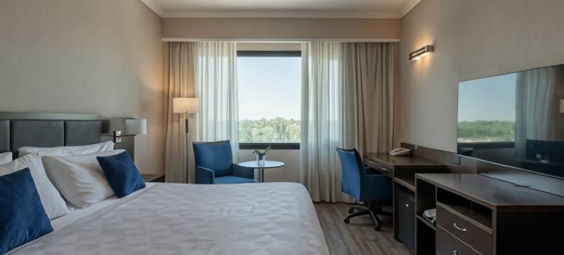 布宜诺斯艾利斯埃塞萨机场万豪酒店(Hotel Buenos Aires Ezeiza Airport)图片