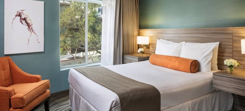 波尔图维斯塔酒店(Porto Vista Hotel in Little Italy)图片