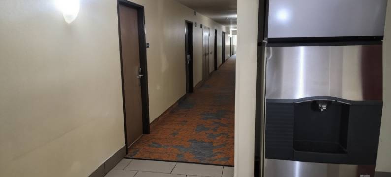 克利尔沃特-圣德彼得堡机场温德姆速8酒店(Super 8 by Wyndham Clearwater/St. Petersburg Airport)图片