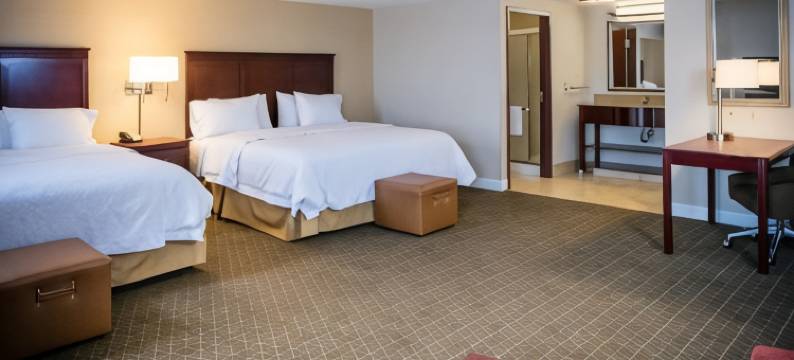 托雷多佩利斯堡希尔顿欢朋旅馆&套房酒店(Hampton Inn & Suites Toledo-Perrysburg)图片