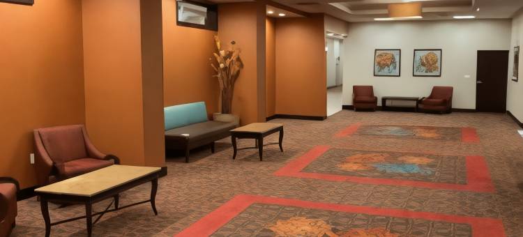 坦帕西北/奥尔兹马欢朋套房酒店(Hampton Inn & Suites Tampa Northwest/Oldsmar)图片