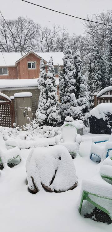 Adorable cottage inside the gates Of Lakeside Chautauqua!
