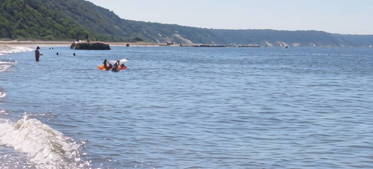 克拉丽奥酒店及会议中心(Clarion Hotel and Conference Center)图片